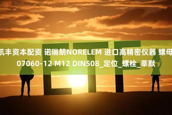凯丰资本配资 诺瑞朗NORELEM 进口高精密仪器 螺母 07060-12 M12 DIN508_定位_螺栓_莘默