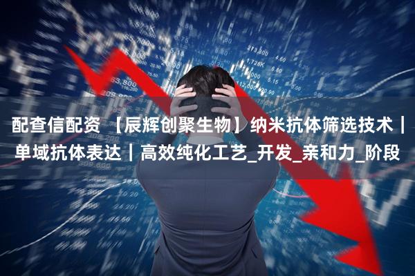配查信配资 【辰辉创聚生物】纳米抗体筛选技术｜单域抗体表达｜高效纯化工艺_开发_亲和力_阶段