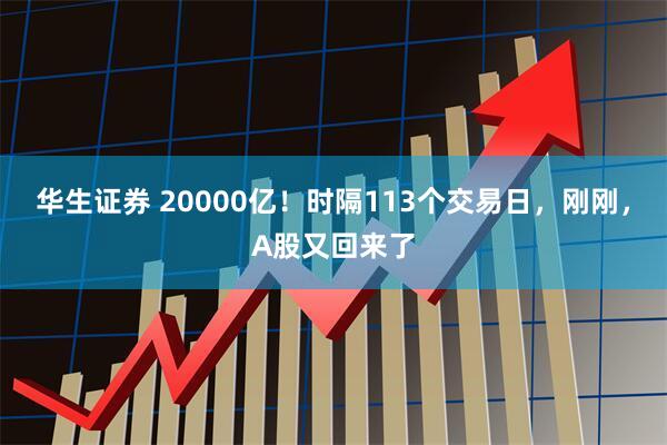华生证券 20000亿！时隔113个交易日，刚刚，A股又回来了